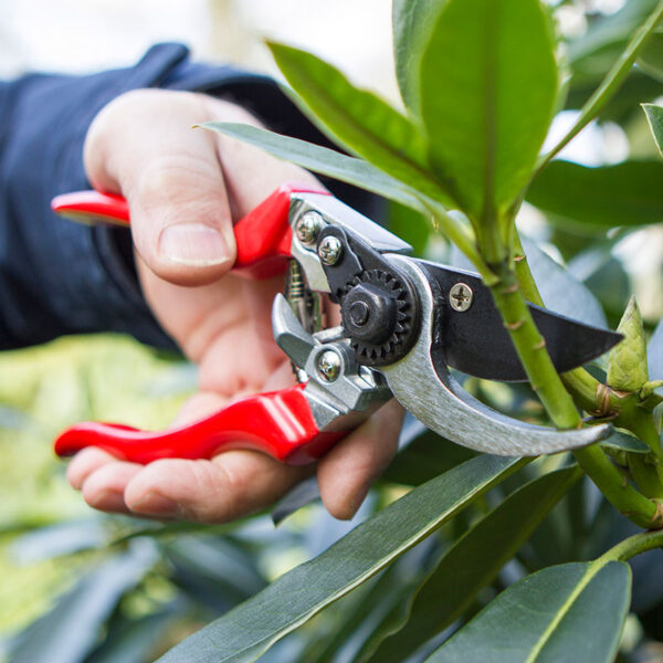 Tvåskärssekatör, Professional Pruner för vänsterhänta 16 mm