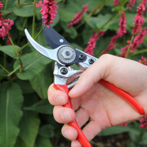 Tvåskärssekatör, Small Bypass Pruner 16 mm